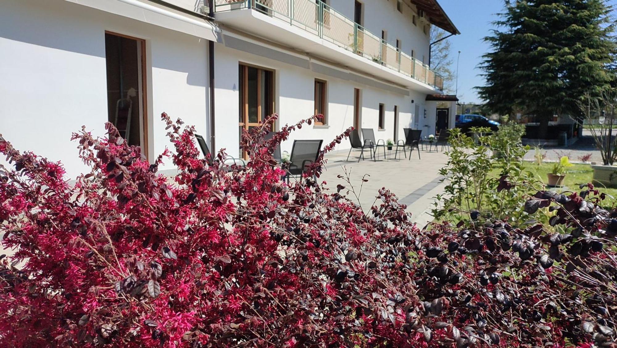 Nautica Tarello - Casa Ena Beb Bed and Breakfast Viverone Εξωτερικό φωτογραφία